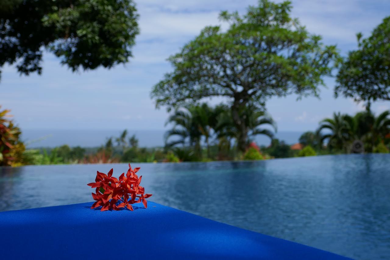 Puri Mangga Sea View Resort And Spa Lovina  Exterior photo
